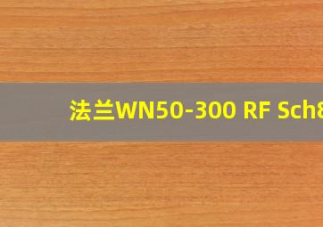 法兰WN50-300 RF Sch80